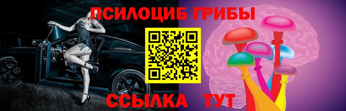 Галлюциногенные грибы MAGIC MUSHROOMS  Псилоцибиновые грибы ЛСД  Кимовск  купить наркоту  Вход с VPN 